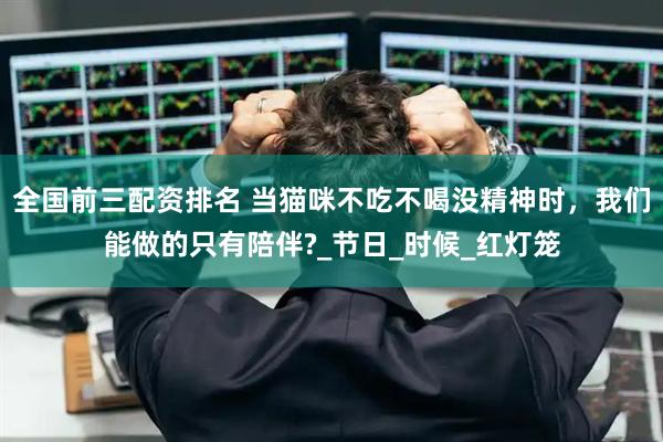 全国前三配资排名 当猫咪不吃不喝没精神时，我们能做的只有陪伴?_节日_时候_红灯笼