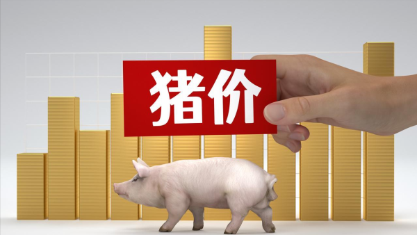 杠杆股市配资平台 生猪价格大稳小动, 购销略显僵持! 附: 6月2日猪价
